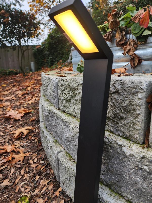 C Cattleya 36-Watt Equivalent Low Voltage Black Aluminum Hardwired