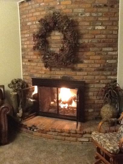 Pleasant Hearth Fenwick Large Glass Fireplace Doors Fn 5702 At The