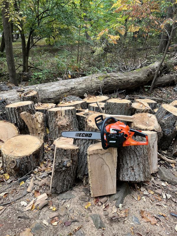 Reviews for ECHO 20 in. 50.2 cc 2-Stroke Gas Rear Handle Chainsaw