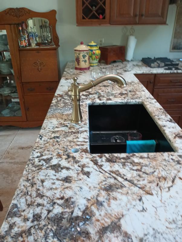 Delta Cassidy Gold Single-Handle Pull-Out Sprayer Kitchen Faucet