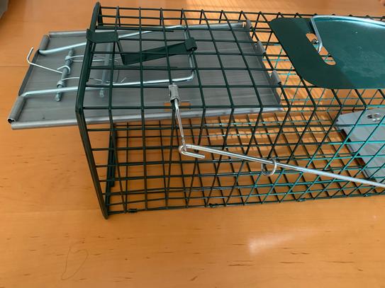 HOMESTEAD Fold-Flat Live Animal Trap - 14"x7"x8" Steel Cage For Humane Catch & Release Of Rodents