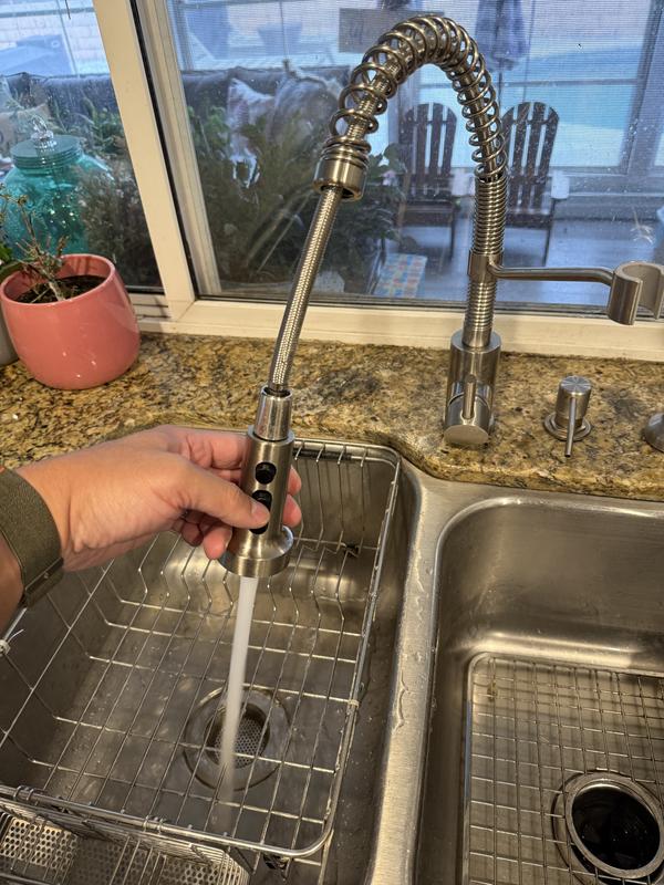 ANZA Single-Handle Pull Down Sprayer Kitchen Faucet with Deckplate