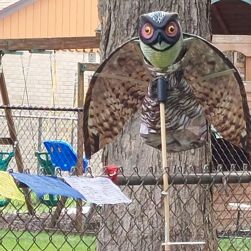 Buy Prowler Owl with Flapping Wings Owl Decoy Scarecrow Bird Repellent