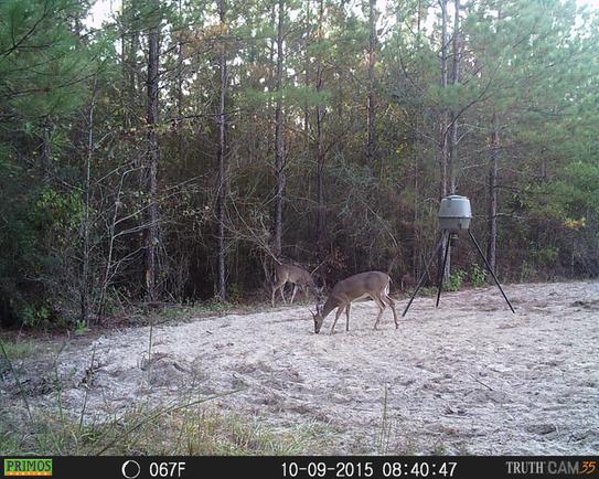 Moultrie Pro Lock Tripod Deer Feeder Mfg 12607 At The Home Depot
