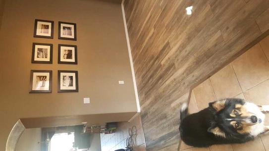 Home Decorators Collection Winterton Oak 12 mm Thick x 7 7 Home Decorators Collection Winterton Oak 12 mm Thick x 7 7