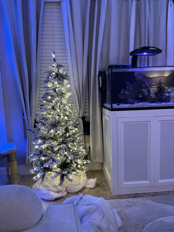 Maypex 8 ft. Green Lighted Flocked Spruce Artificial Christmas