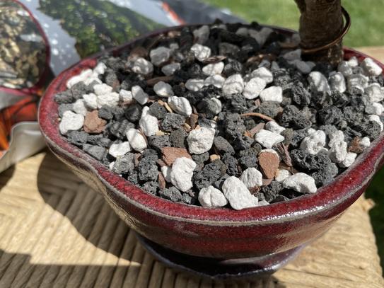 Reviews for The Bonsai Supply Bonsai Soil Mix, Fast Draining Coarse Blend  for All Bonsai Varieties (Available in 2 Qt. and 20 Qt. Sized Bags) | Pg 2  - The Home Depot