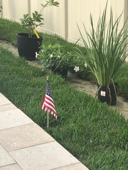 Harmony 500 Sq Ft St Augustine Sod 1 Pallet HH500SA1 At The Home 