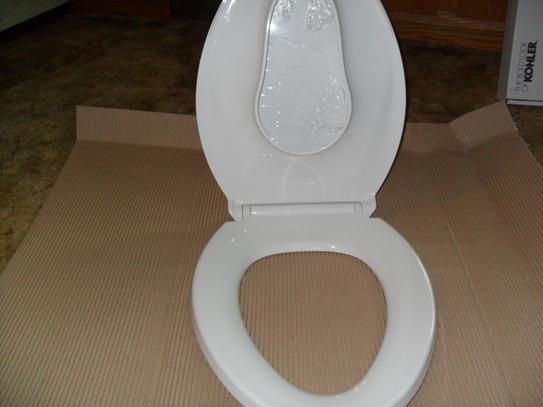 KOHLER Transitions Nightlight Elongated Closed Front Toilet Seat in White  K-2599-0 - The Home Depot