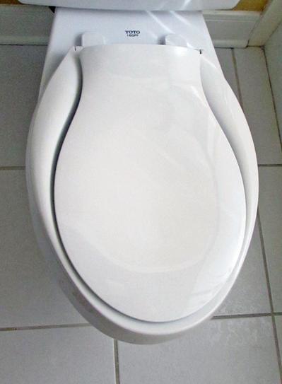 KOHLER Transitions Nightlight Elongated Closed Front Toilet Seat in White  K-2599-0 - The Home Depot