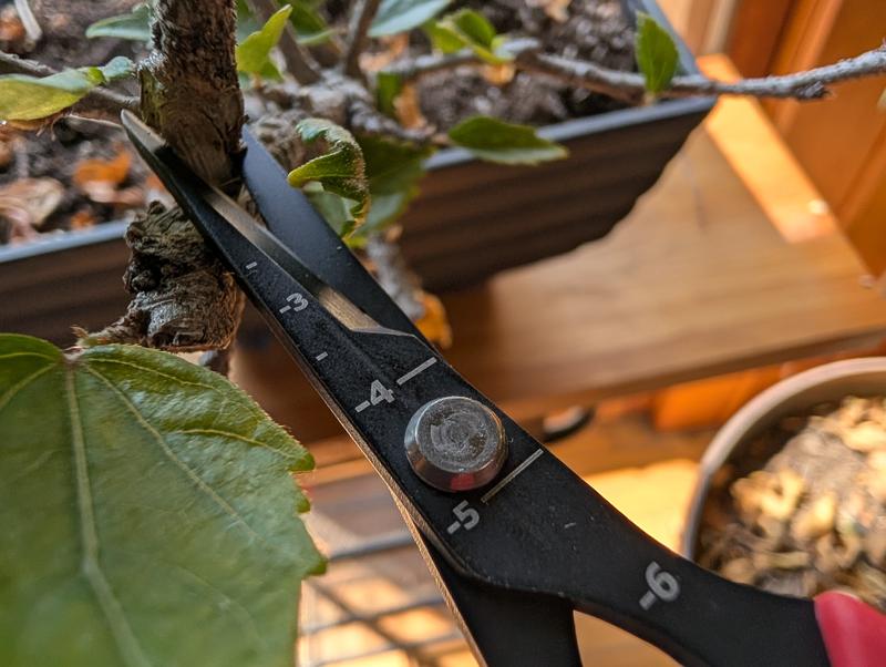 THE HARVEST COMPANY 6.3 in. Fluorine Coated Japanese Stainless