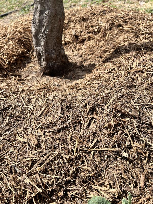 Have a question about 2 cu. ft. Cedar Blend Shredded Bagged Mulch