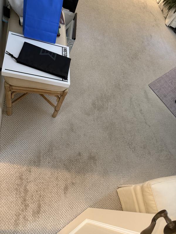 ラパン Carpet アイボリー Lifeproof Rosemary II - Chiffon-Beige 12 ft. 56 oz. High