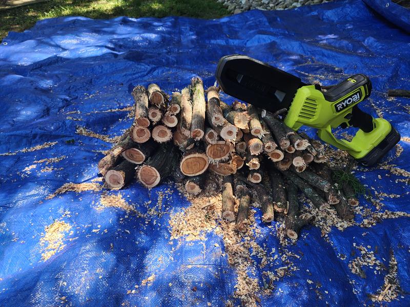 Reviews for RYOBI ONE HP 18V Brushless 8 in. Battery Compact Pruning Mini Chainsaw with 2.0 Ah Battery and Charger Pg 2 The Home Depot
