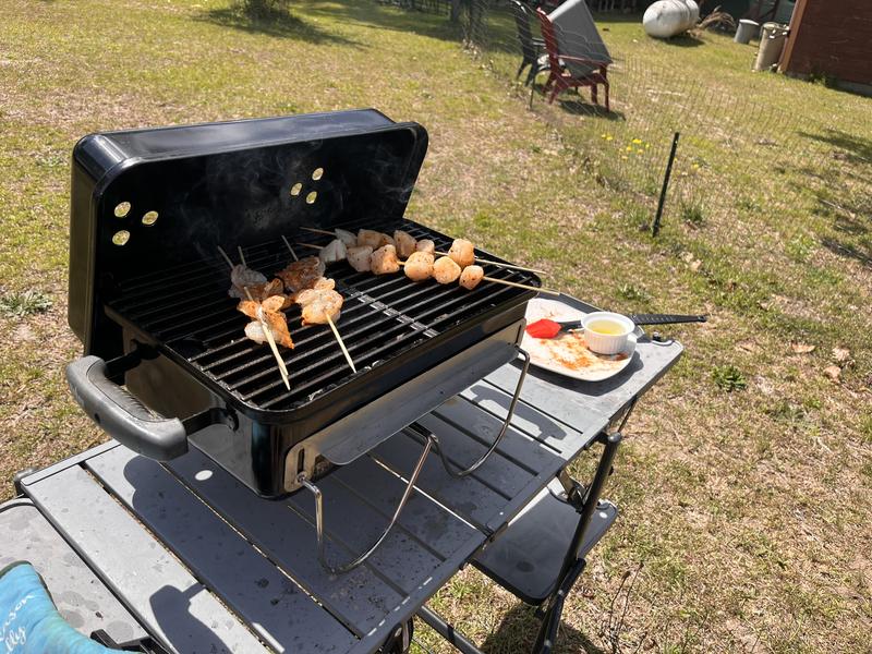 Reviews for Weber Go-Anywhere Portable Charcoal Grill in Black