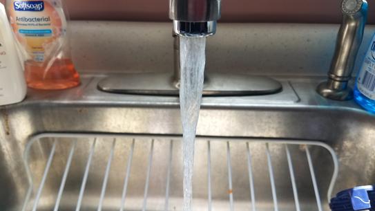 Delta Küchenarmatur B4410LF-SS – Einhebel-Armatur Mit Sprühfunktion, Edelstahl, Wassersparend