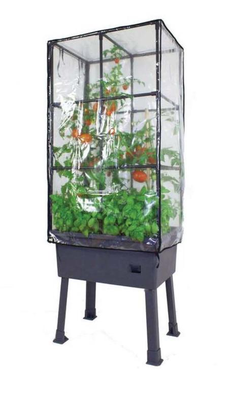 Bonnie Plants 2.32 qt. Bush Goliath Hybrid Tomato Plant 0230 - The