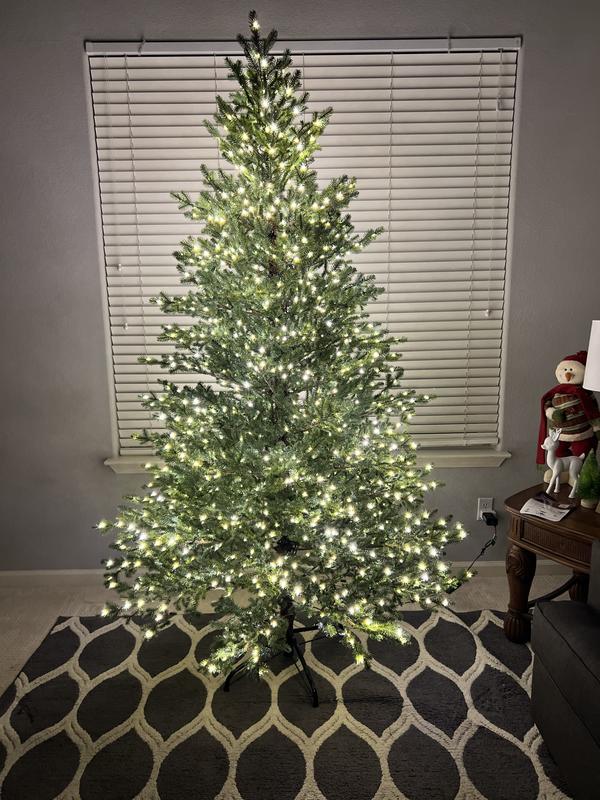 Home Decorators Collection 9 ft Elegant Grand Fir LED Pre-Lit Artificial Christmas  Tree with Timer with 3000 Warm White Lights W14N0139 - The Home Depot