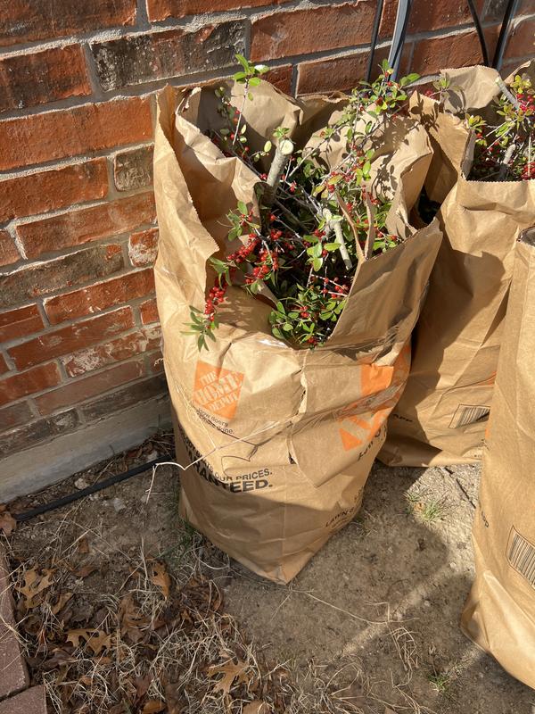 Where can I get paper bags for my yard waste in Charlotte?