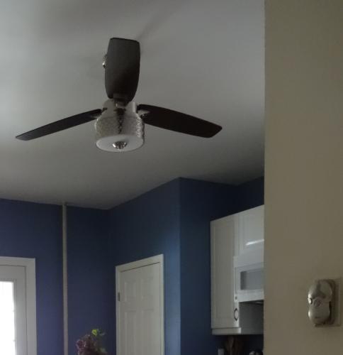 Hunter Camille 52 In Brushed Chrome Ceiling Fan 28794 At The Home