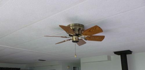 Westinghouse Petite 30 In Brushed Nickel Ceiling Fan 7800500 At