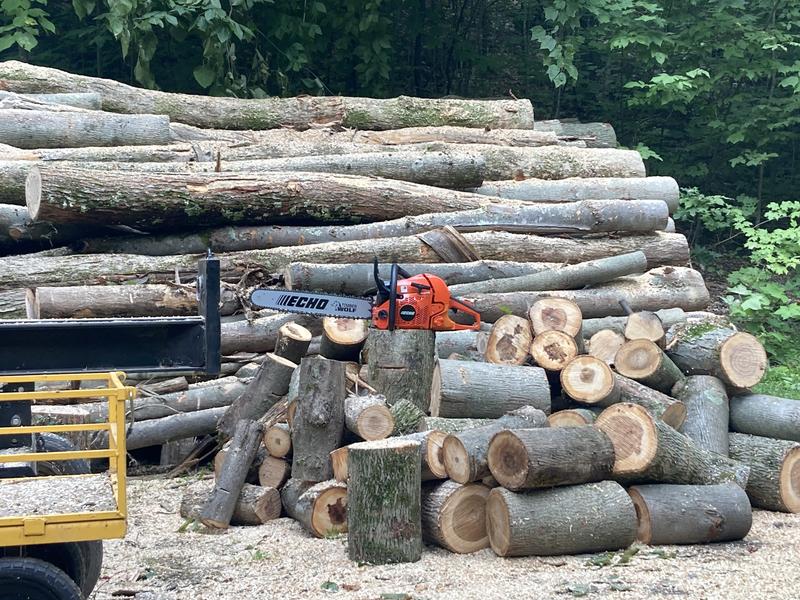 Reviews for ECHO 20 in. 59.8 cc Gas 2-Stroke Rear Handle Timber