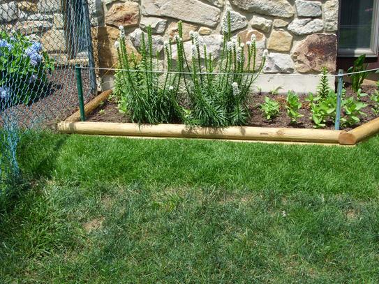 Plantation Grown Timbers ミラー Plantation Grown Timbers ミラー 鏡