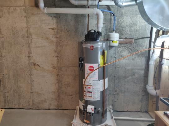 Rheem Performance 50 Gal. Tall 6 Year 42,000 BTU Natural Gas Power Vent ...