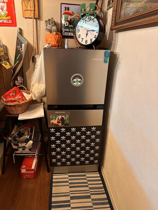 Vissani 4.5 cu. ft. 2-Door Mini Refrigerator in Platinum Steel