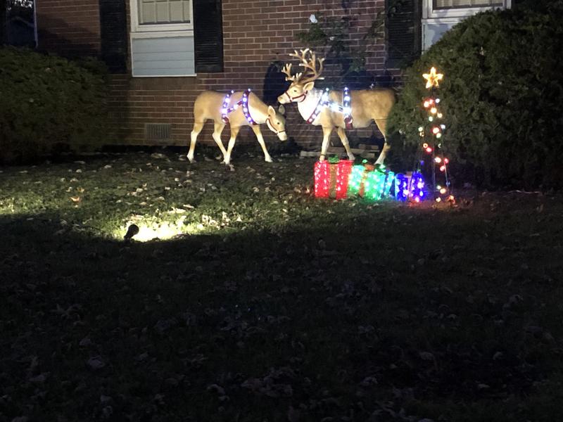 Holiday 4.5-ft Feeding on sale Reindeer w/ LED Lights Christmas Decor