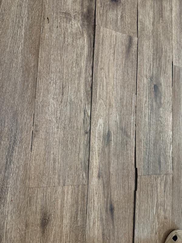 TrafficMaster Take Home Sample - Edwards Oak Waterproof Rigid Core