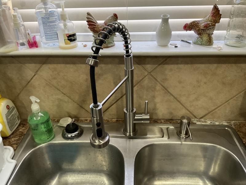 ANZA Single Handle Pull Down Sprayer Kitchen Faucet with Advanced