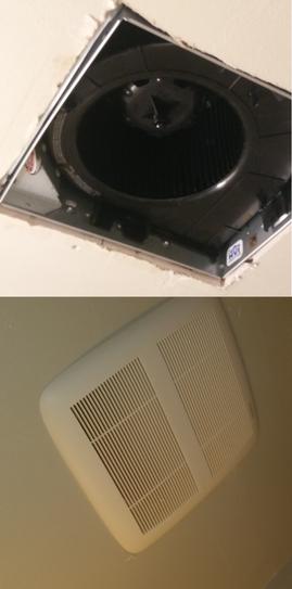 answer_image
