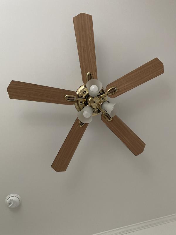Hampton Bay Glendale 52 in. Indoor Brushed Nickel Ceiling