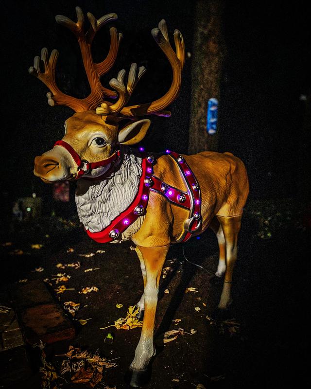 Blow Mold Reindeer With newest LED Lights Yard Sculpture 4.5 Ft