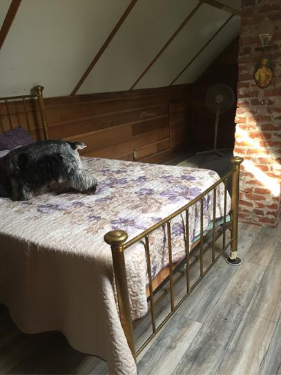 Home Decorators Collection Winterton Oak 12 mm Thick x 7 7 Home Decorators Collection Winterton Oak 12 mm Thick x 7 7