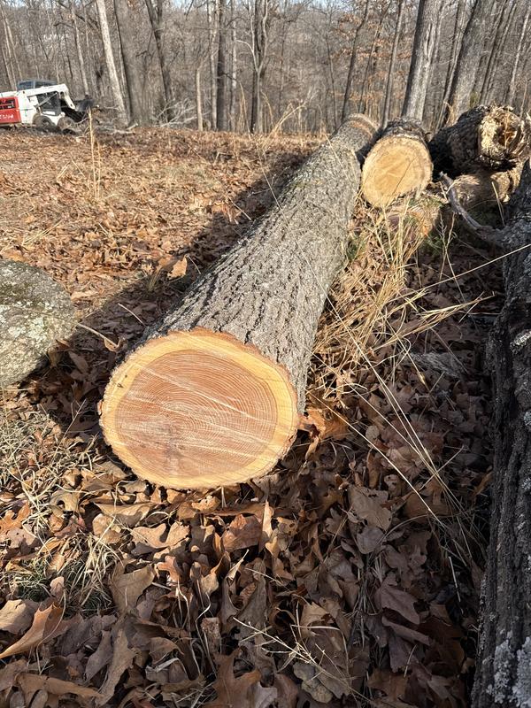 Reviews for ECHO 24 in. 59.8 cc Gas 2-Stroke Rear Handle Timber