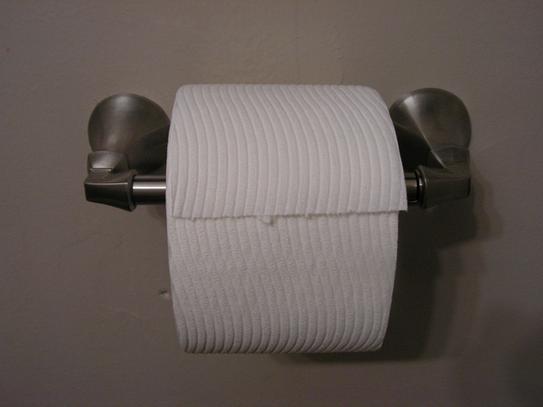 Delta Ashlyn Wall Mount Pivot Arm Toilet Paper Holder Bath Hardware ...