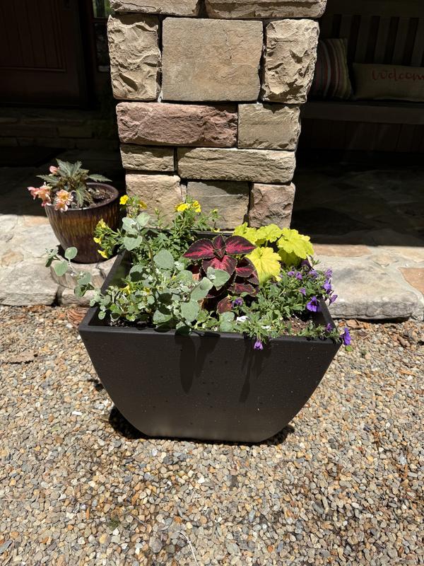 Southern Patio Newland Large 16 in. x 13.5 in. 40 Qt. Coffee High