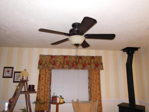 Hunter Forest Hill 48 In Ceiling Fan Discontinued 23949 At The