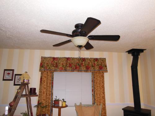 Hunter Forest Hill 48 In Ceiling Fan Discontinued 23949 At