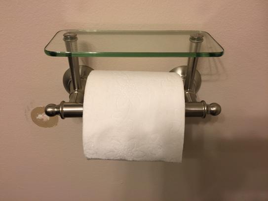 Delta Toilet Paper Holder With Glass Shelf In Brushed Nickel