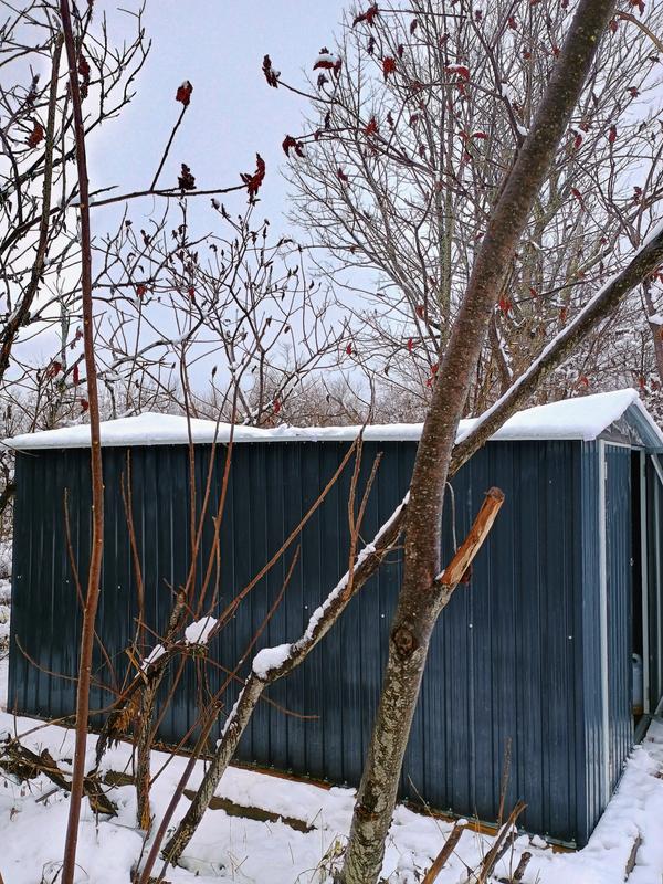 VIWAT 5 ft. W x 3 ft. D Metal Outdoor Storage Shed with Lockable