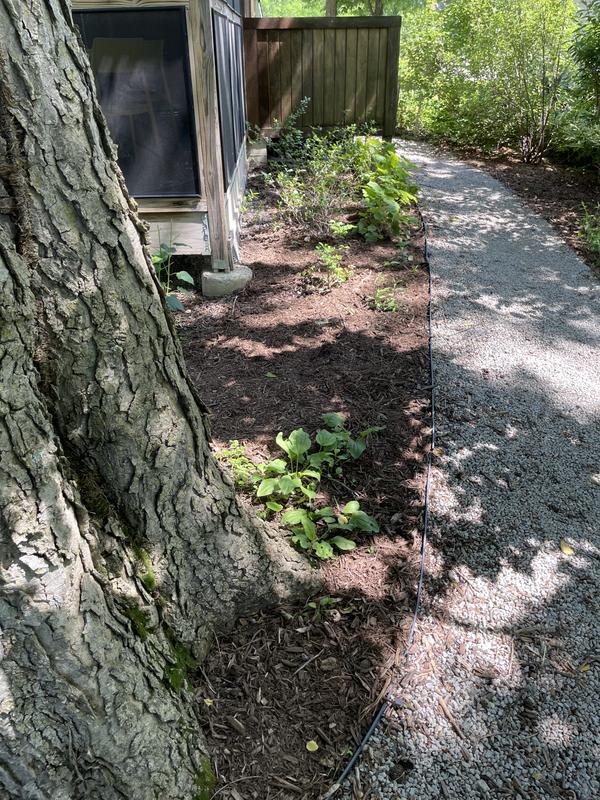 最終値下げ【新品・未使用】ch!iiibag Mulch Circle Bag 2点セット☆ch!iii☆Mulch Circle Bag☆キーチャーム