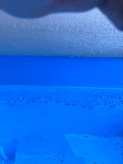 royal blue pool paint