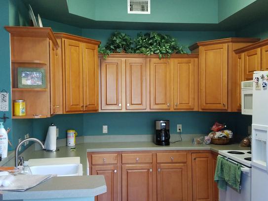 CABINET RESCUE 31 oz. Melamine Laminate Paint DT43 at The ...