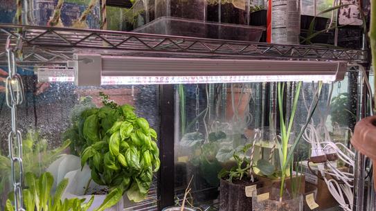 Feit Electric 3 ft. 120-Watt Heavy-Duty White Full Spectrum LED