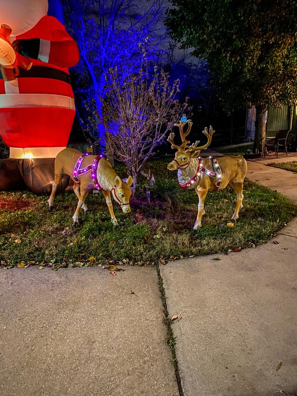 Holiday 4.5-ft Feeding Reindeer w/ LED cheapest Lights Christmas Decor