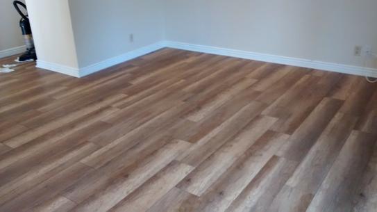 Home Decorators Ann Arbor Oak Home Decorators Ann Arbor Oak