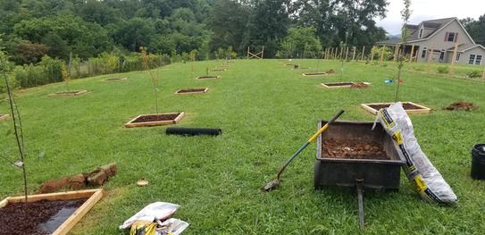 Reviews for 8 ft. Landscape Timber | Pg 4 - The Home Depot